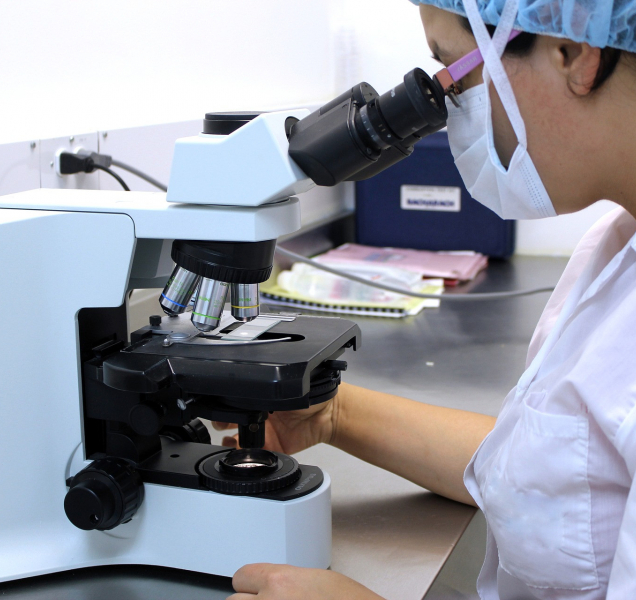 V našem kraji otestují dalších 4 000 lidí