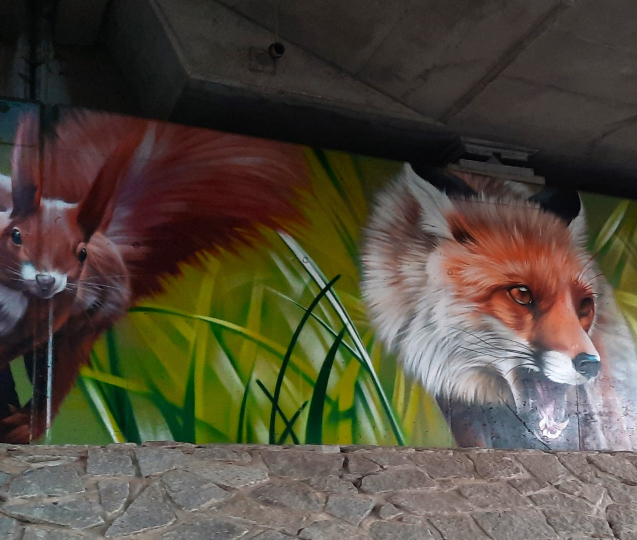 Pod mostem u Zvole vás překvapí divoká zvířata