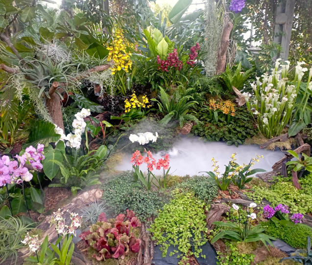 Klenoty pralesa: nově objevené orchideje i černé masožravky