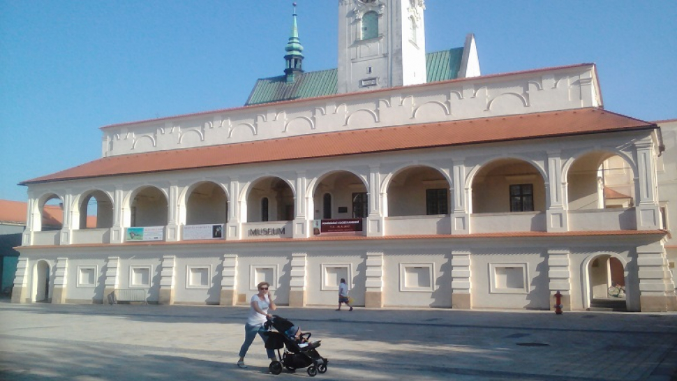 Porušení zákoníku práce jsme konzultovali s kanceláří Ritter-Šťastný, tvrdí prostějovské muzeum