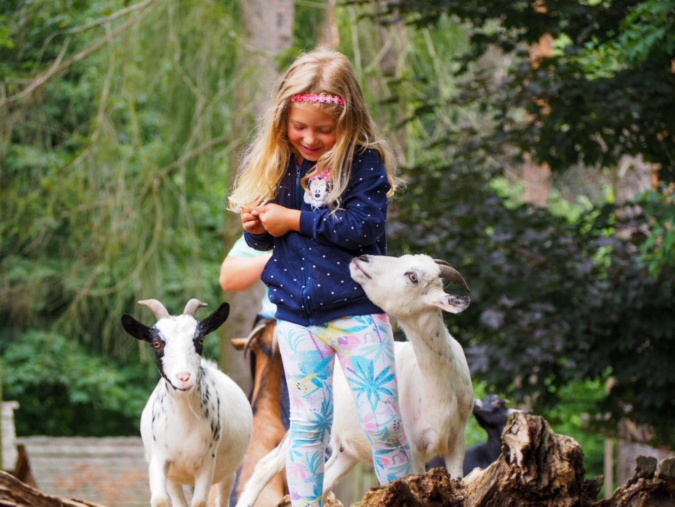 Olomoucká zoologická zahrada podporuje ty ukrajinské