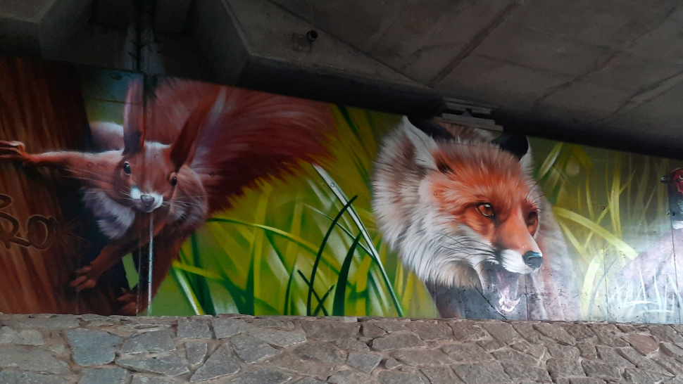 Pod mostem u Zvole vás překvapí divoká zvířata