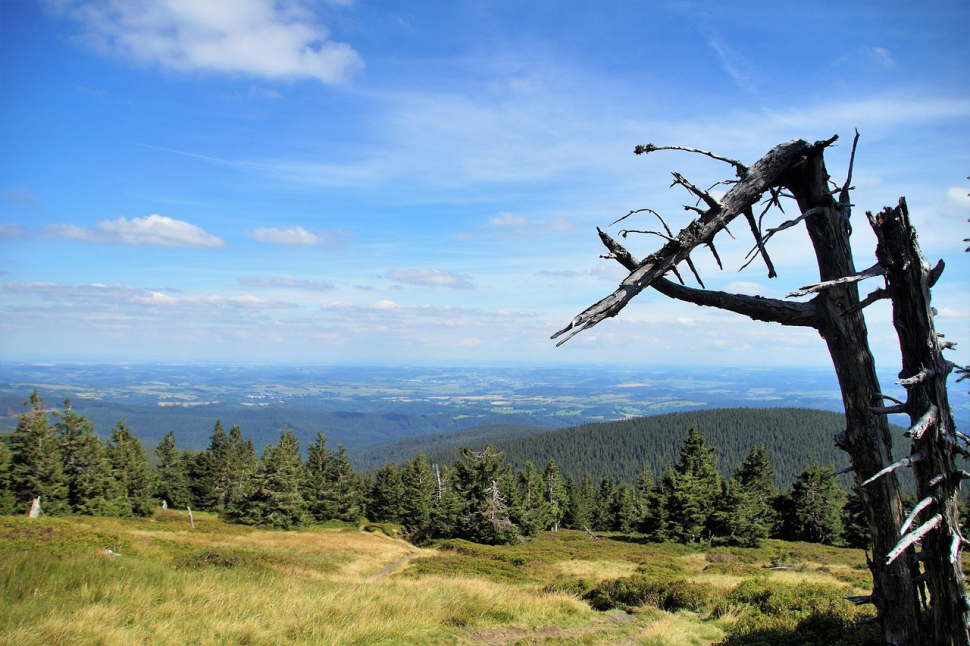 Injekce turistickému ruchu v Jeseníkách, díl druhý
