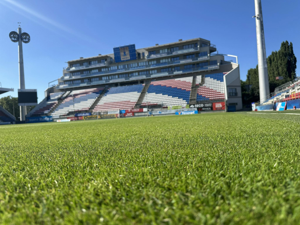 Radost i troška smutku