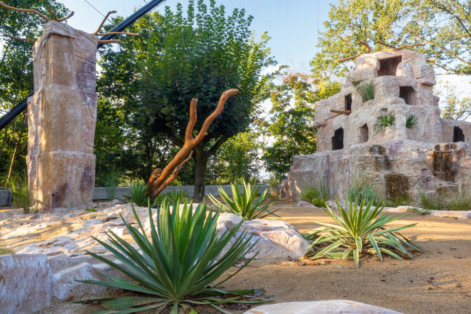 Zoo Olomouc navštívilo více lidí. Lákala i obří voliéra