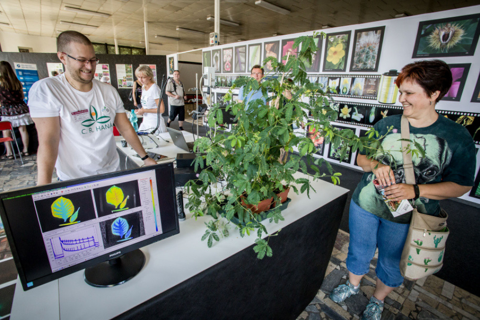 Krásy české krajiny připomene letní Flora Olomouc