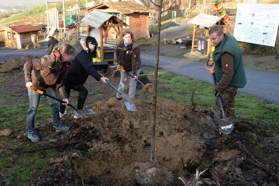 Zaměstnanci olomoucké zoo sázeli stromy, díky pěknému počasí